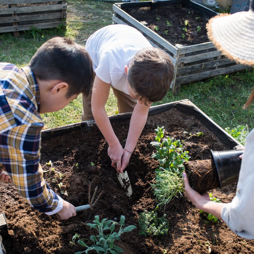 Cidades sustentáveis. Integração e Sustentabilidade: A agricultura urbana surge como uma solução inovadora para integrar produção de alimentos frescos e saudáveis à vida urbana, reduzindo a pegada ambiental e promovendo a sustentabilidade das cidades.